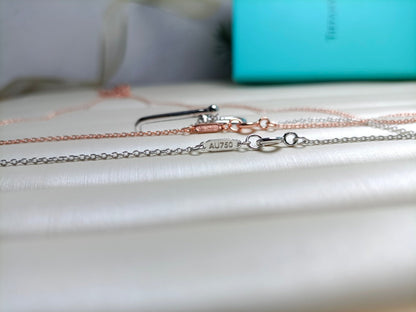 [Resenara Jewelry]HARDWEAR DROP DOUBLE LINK PEDANT NECKLACE
